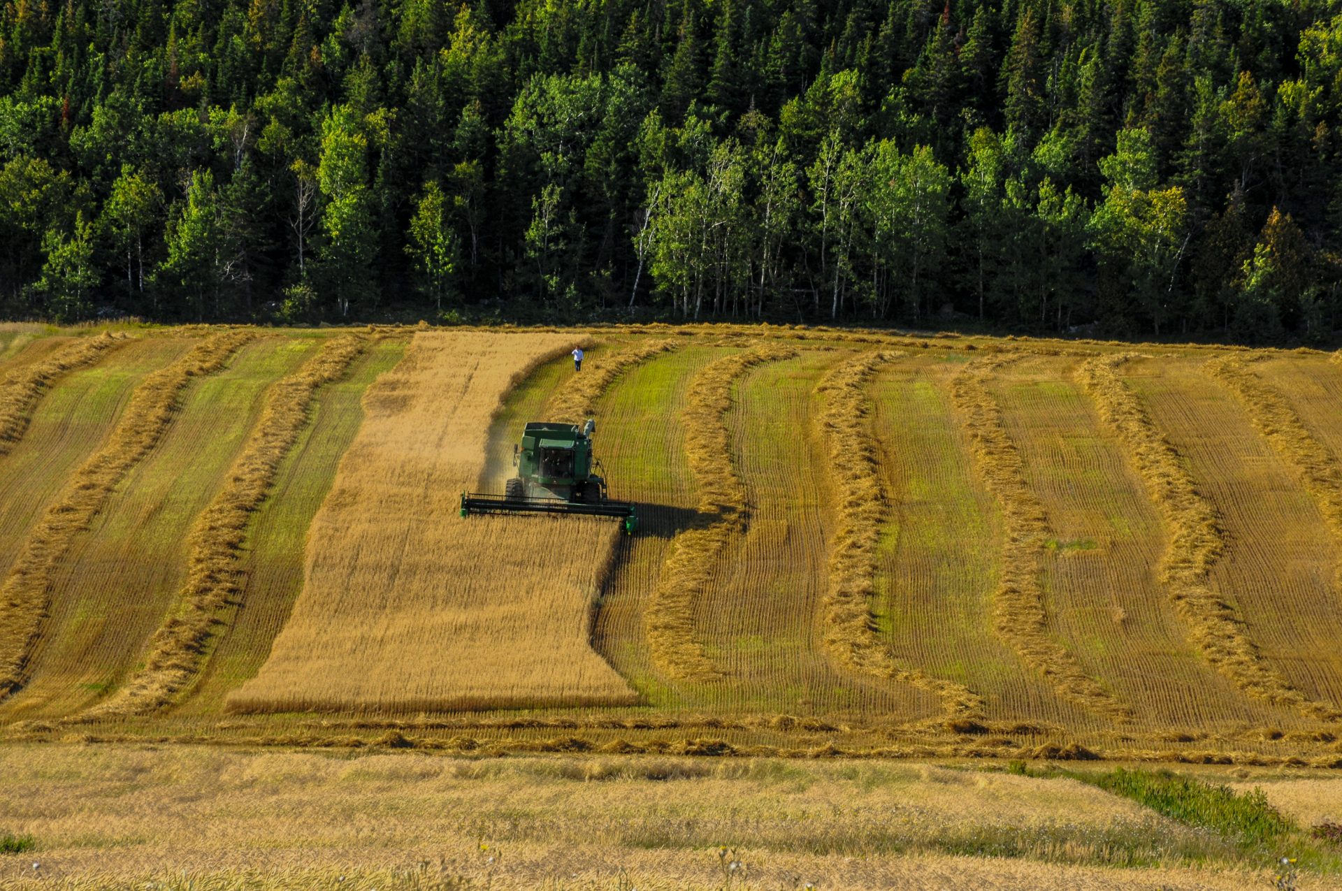 Galerie reportage Québec rural